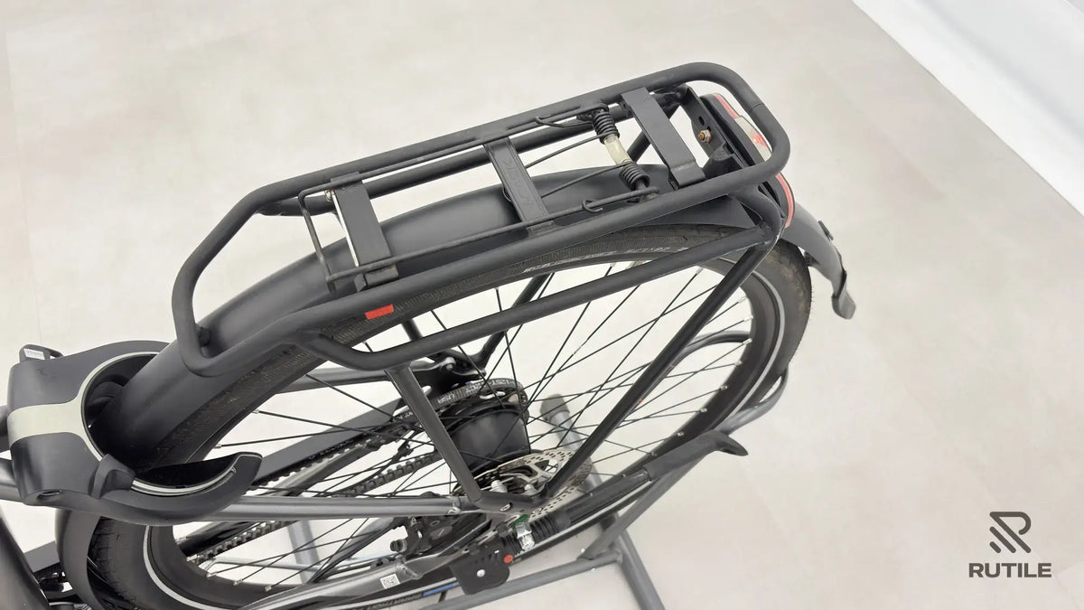 Pegasus Premiio EVO 5 F Belt