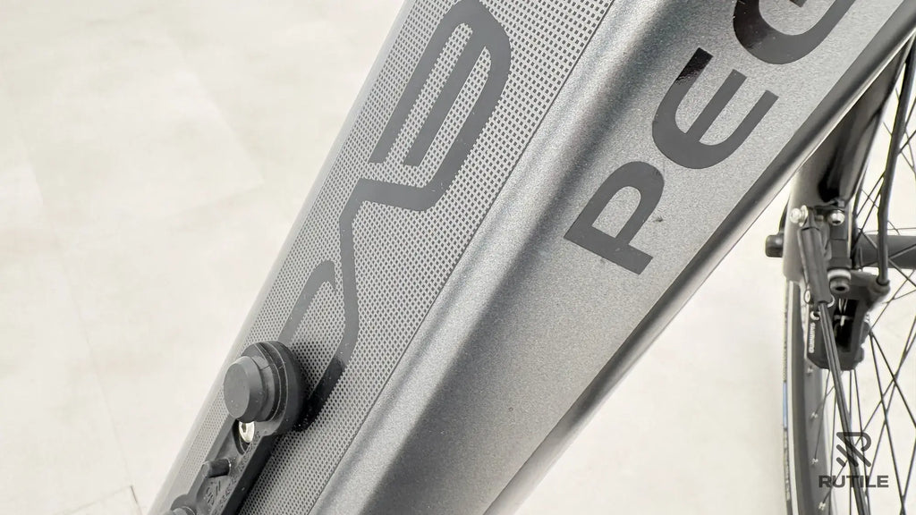 Pegasus Premiio EVO 5 F Belt