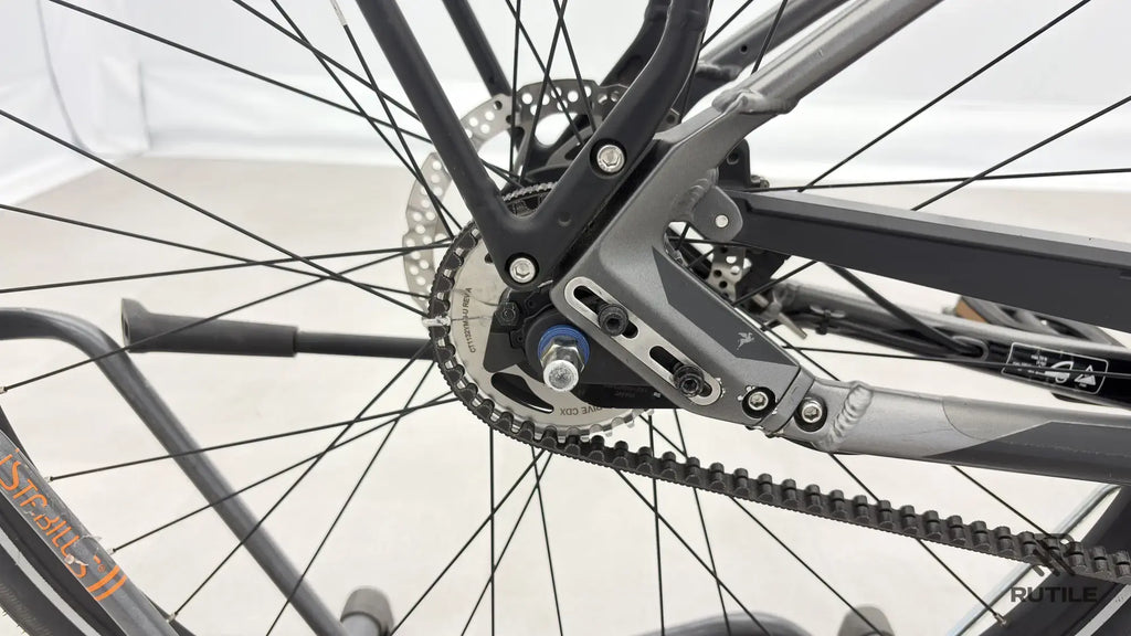 Pegasus Premiio EVO 5 F Belt