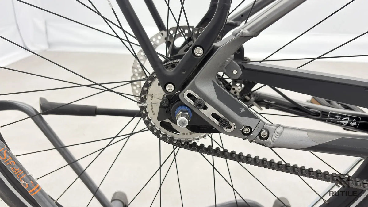 Pegasus Premiio EVO 5 F Belt