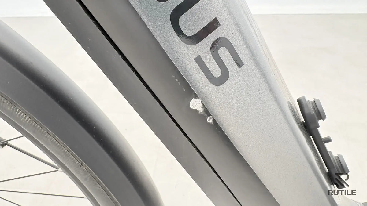 Pegasus Premiio EVO 5 F Belt