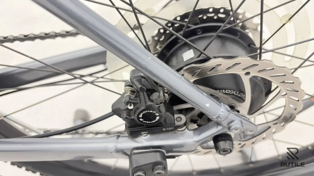 Trek Dual Sport + 2