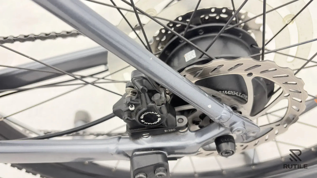 Trek Dual Sport + 2