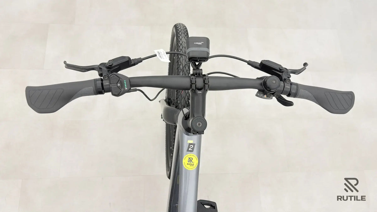 Trek Dual Sport + 2