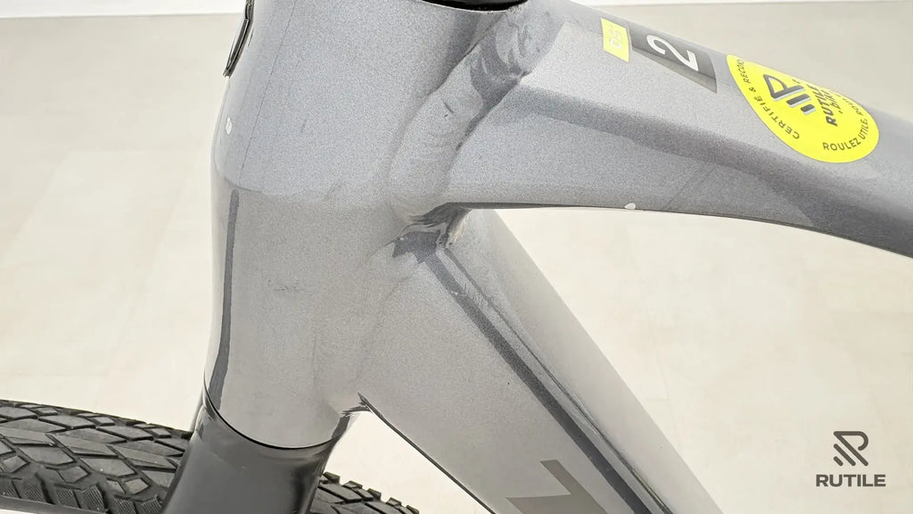 Trek Dual Sport + 2