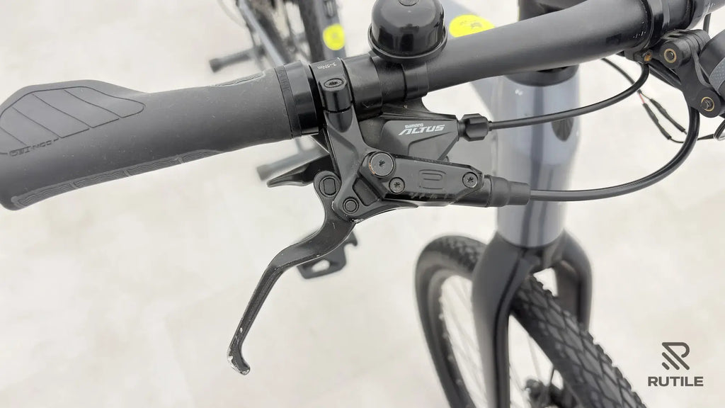 Trek Dual Sport + 2