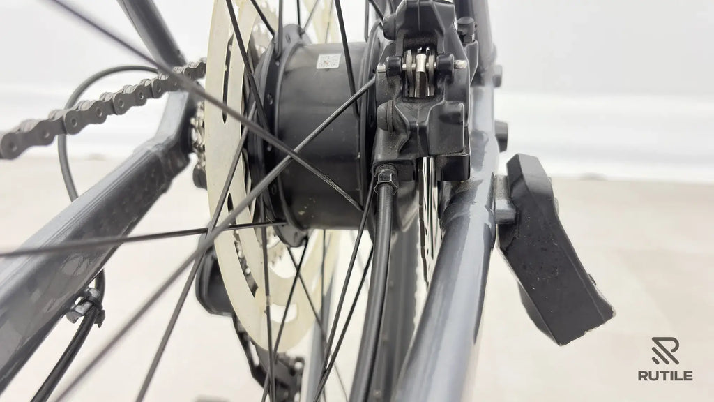 Trek Dual Sport + 2