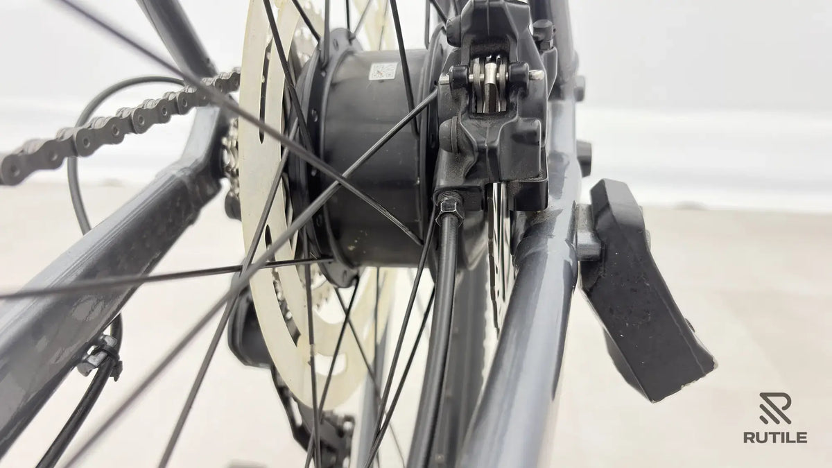 Trek Dual Sport + 2