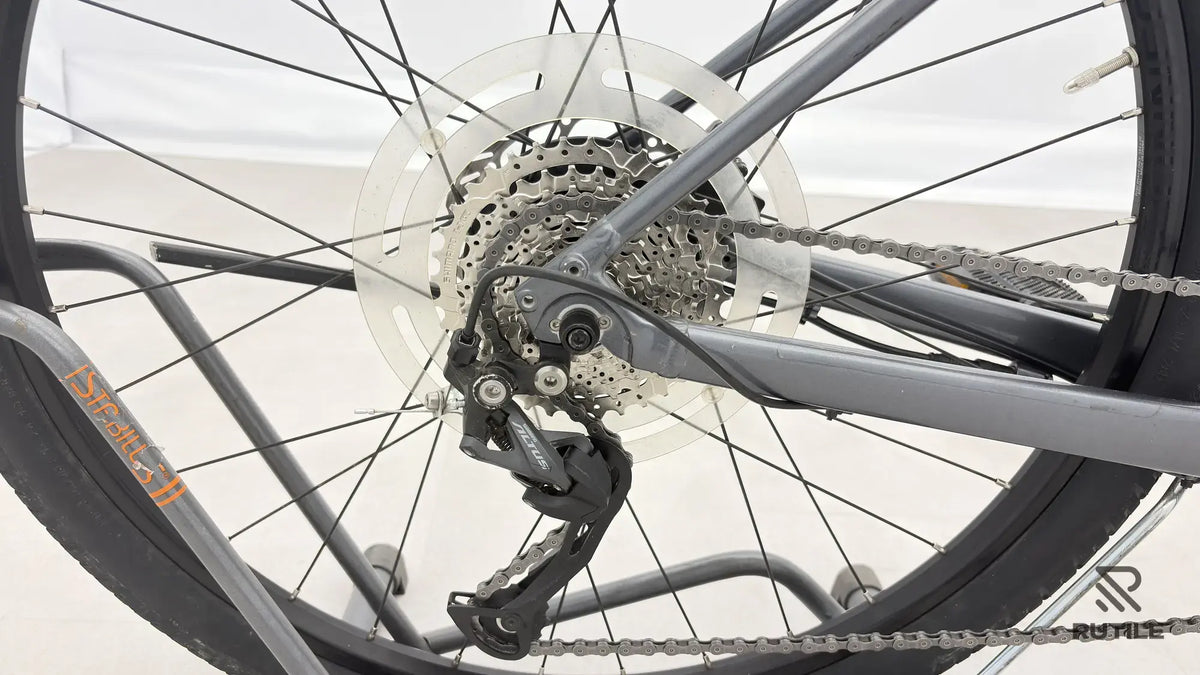 Trek Dual Sport + 2